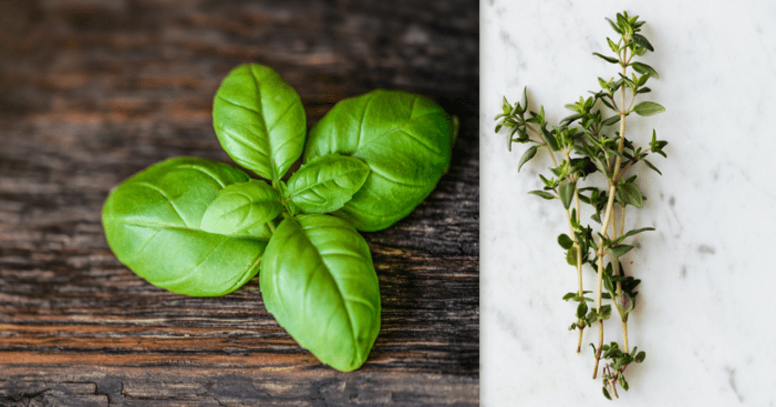 Basil vs Thyme: Types, Health benefits, drugs interactions