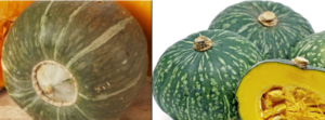 Buttercup Squash vs Kabocha bvk