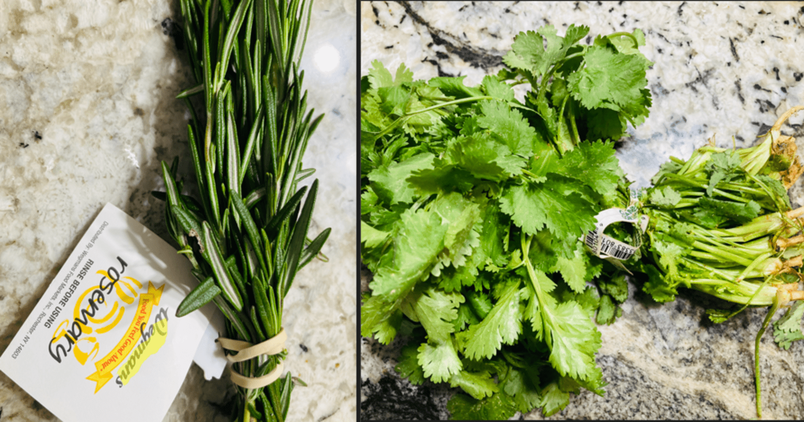 Rosemary vs Cilantro: differences,flavor, Health benefits