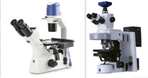 Inverted Microscope vs Upright Microscope ine