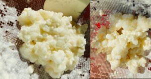 Kefir Grains: benefits, 4 types, uses, care Kefirmilkgra (1)