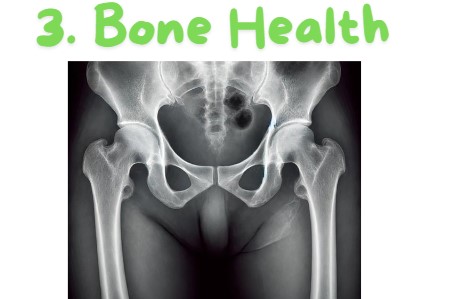 Femoral bone,pelvic bone