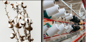 Cotton vs Polyester Fabric: A Wellness Perspective on Choosing the Right Fabric for health cottonvspol