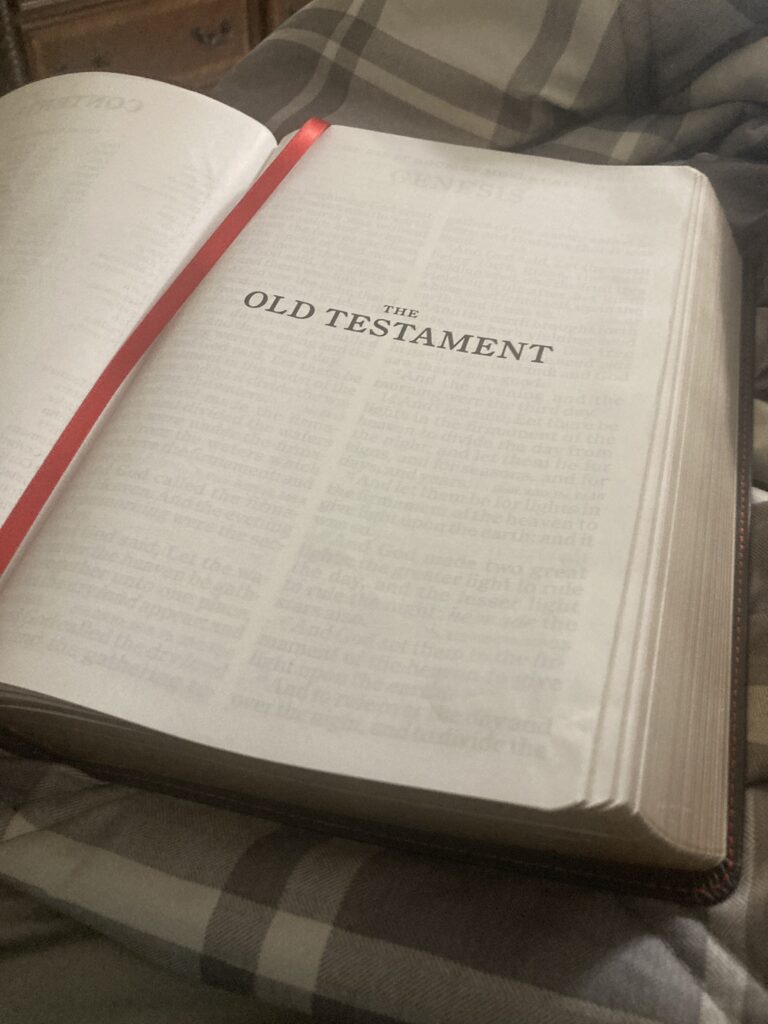 The old testament found in the king james version of the bible