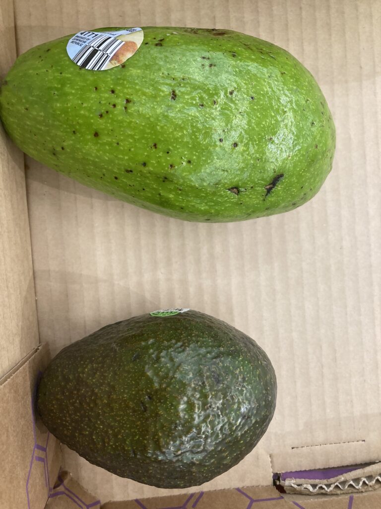 Ripe Avocado